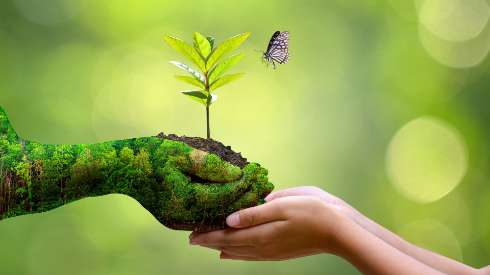 Maxxinno - Besparing energiekosten 03