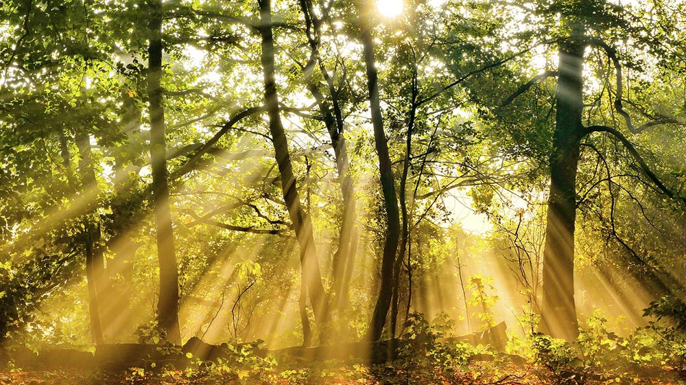 Maxxinno iHeatpanel - Werking verwarming